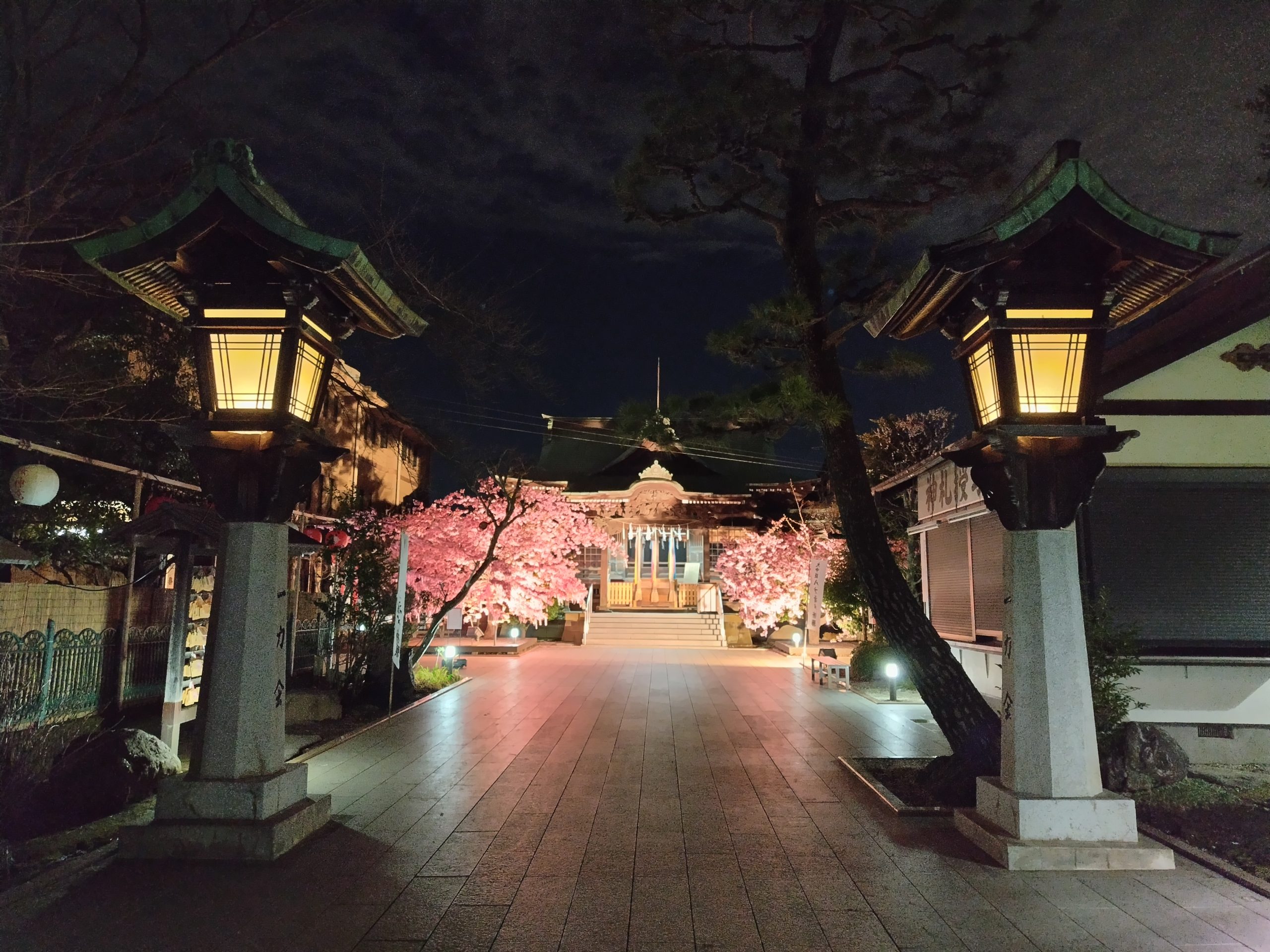 夜の桜神宮はさらに神秘的