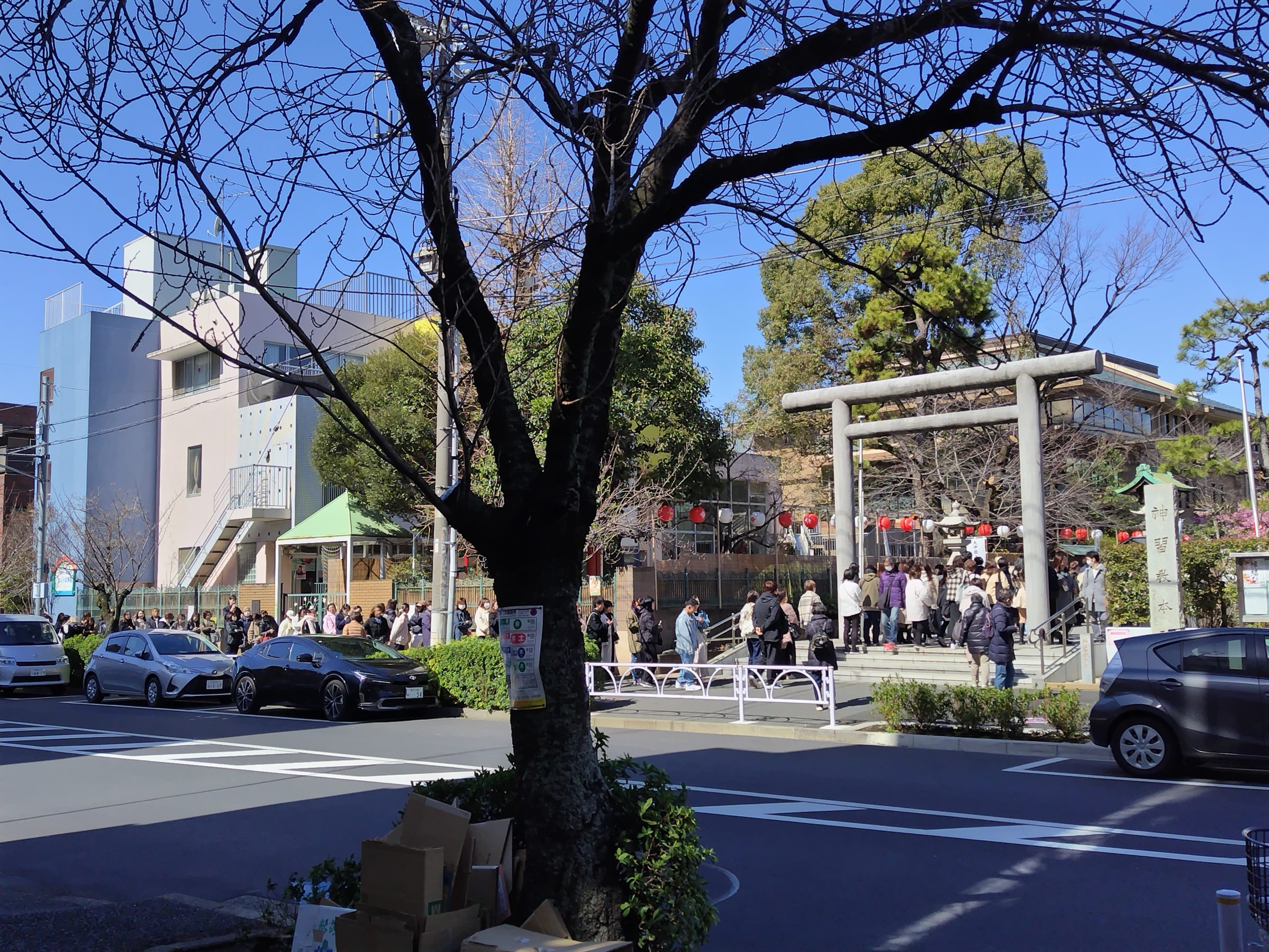 世田谷区桜新町にある古式神道の神社【桜神宮】画像…新年を前に今日も長蛇の列…デザイン性の高い御朱印が大人気