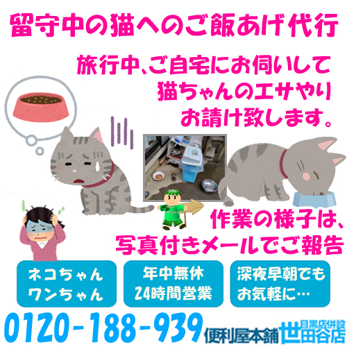 ご自宅にお伺いして 猫ちゃんのエサやり、ワンちゃんお散歩をお客様のご要望に合わせてお請け致します。