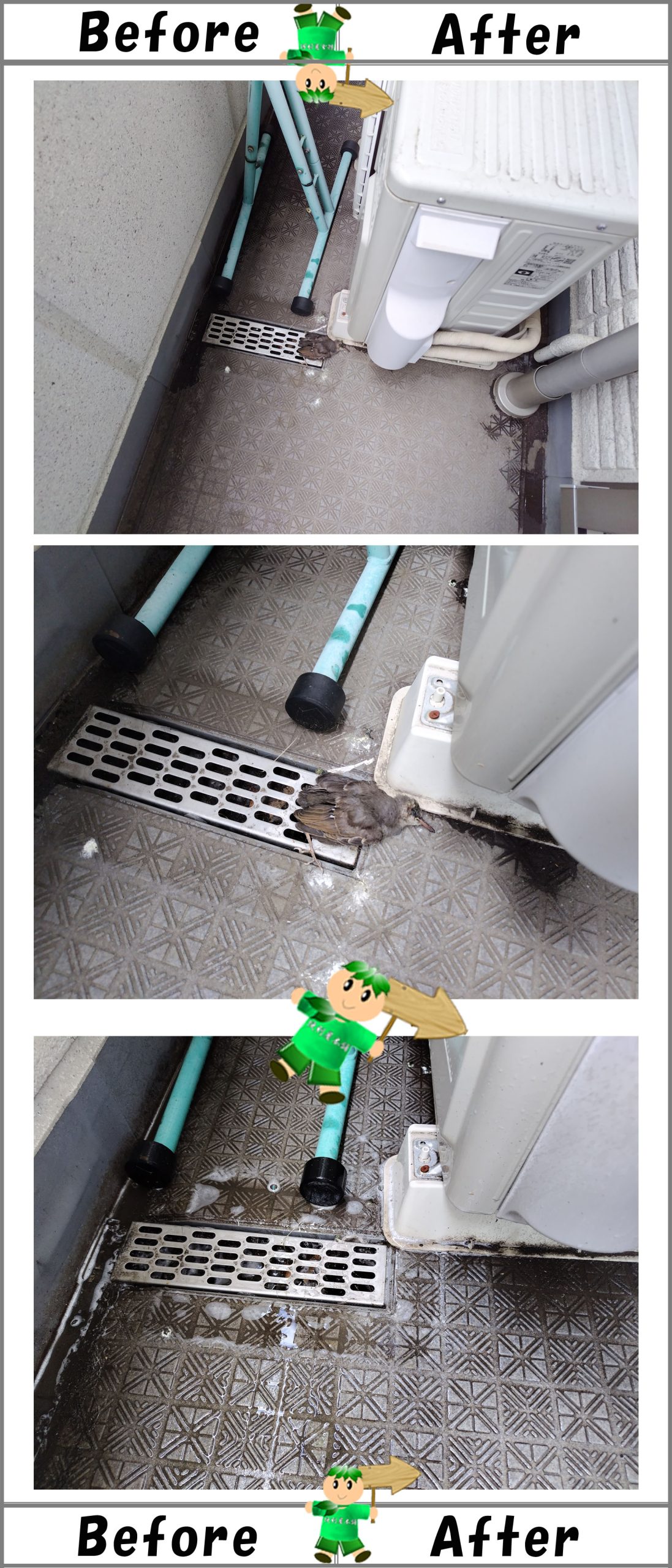 【作業事例ご紹介】ベランダでの小鳥死骸回収・消毒作業写真