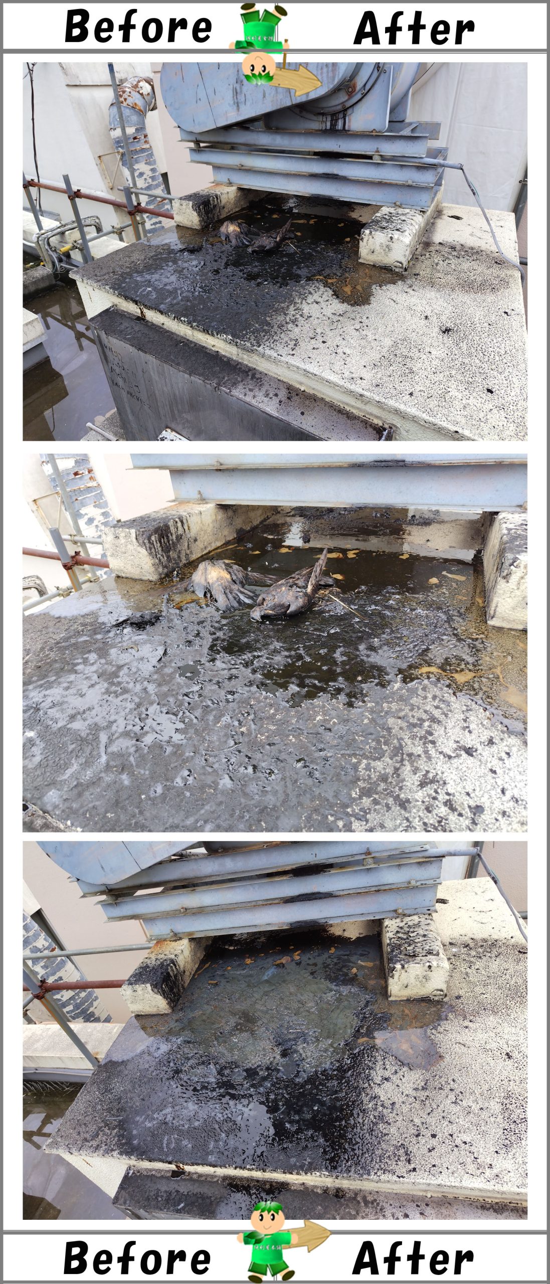 ル屋上の厨房排気ダクトで油まみれで死んだ鳩の死骸回収