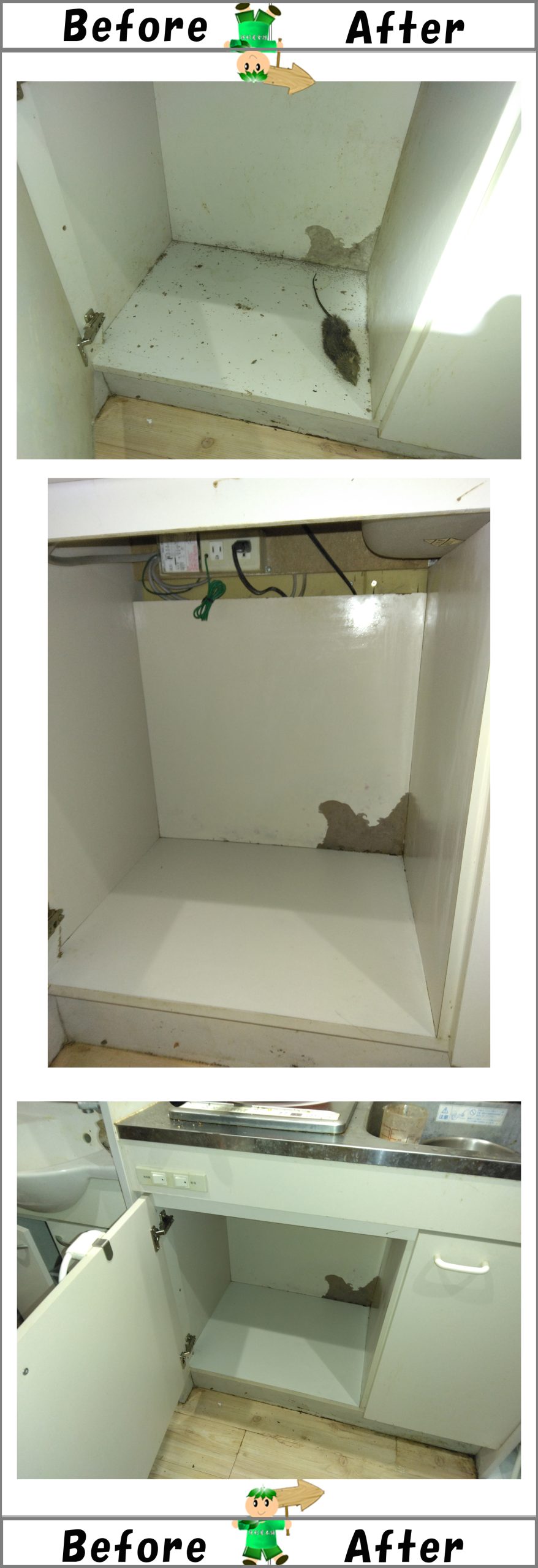 室内キッチンシンク下の収納棚で死んだネズミの死骸回収、消毒クリーニング作業写真