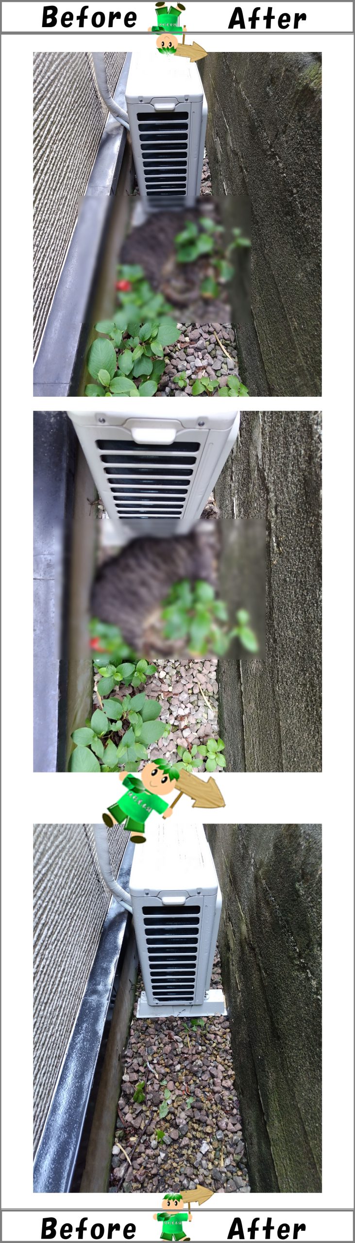 【作業事例ご紹介】屋外の猫の死骸回収・消毒作業写真