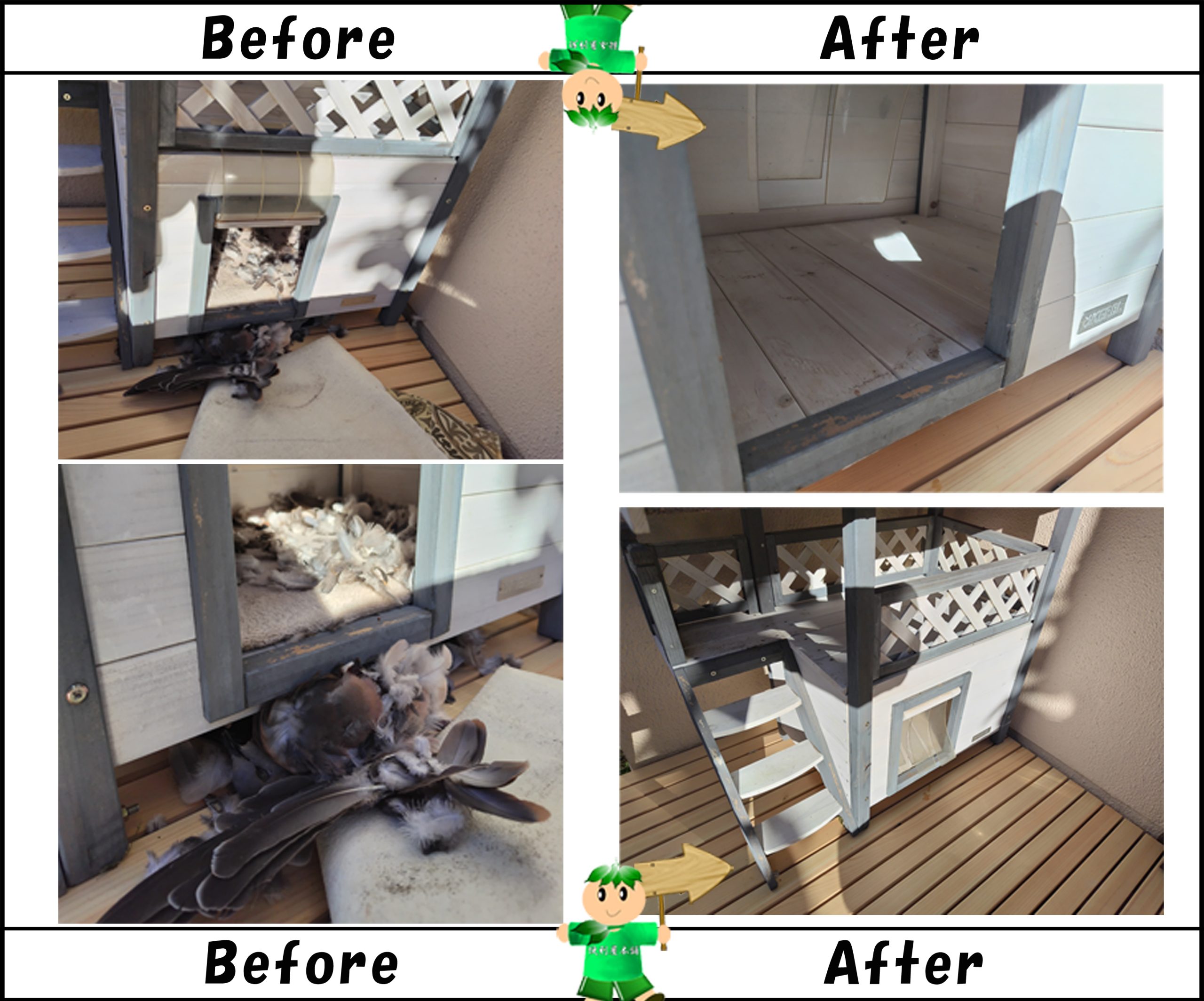 自宅で飼っている猫が鳩を捕まえて来て、屋外に設置しているペット小屋に放置した為、鳩の死骸と散らばった羽根の清掃・消毒クリーニング作業写真