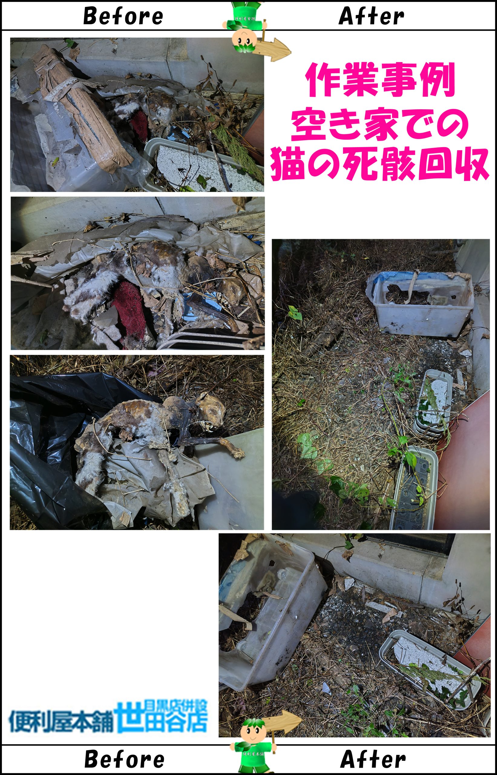 長い間、空き家状態の敷地内で、見回りに来た管理者が猫の死骸を発見。白骨化した猫の死骸を回収、害虫駆除を実施。