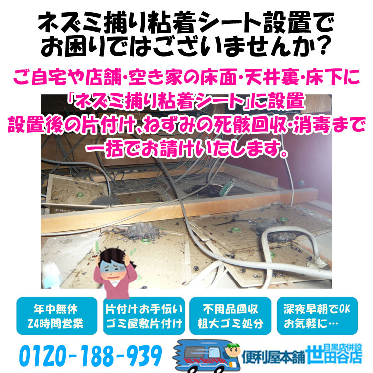 ネズミ捕り粘着シート設置でお困りではございませんか？ ご自宅や店舗・空き家の床面や天井裏・床下に「ネズミ捕り粘着シート」に設置、また、設置後の片付け、ねずみの死骸回収・消毒を一括でお請けいたします。