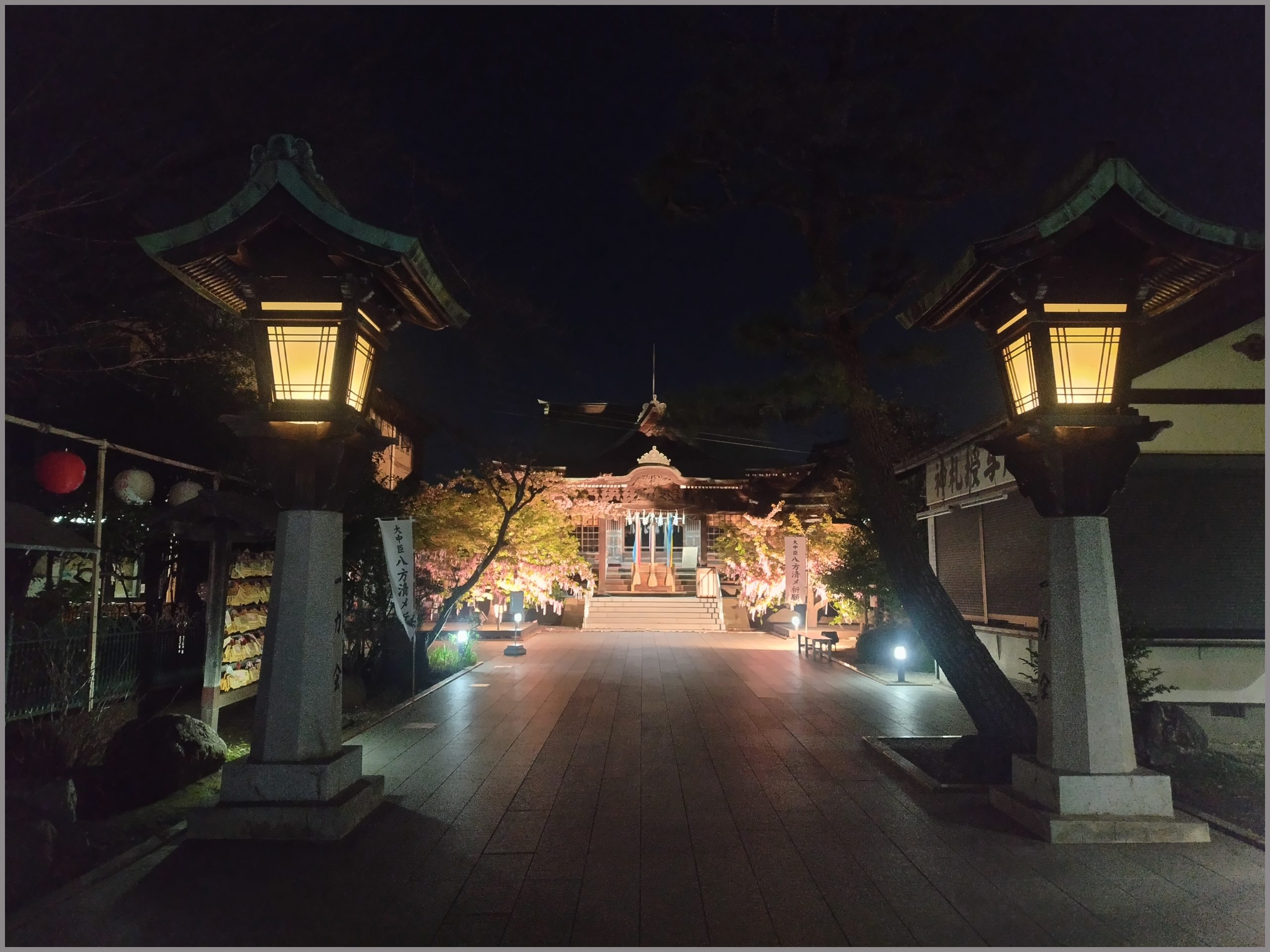 夜の【古式神道 桜神宮】神社ライトアップ