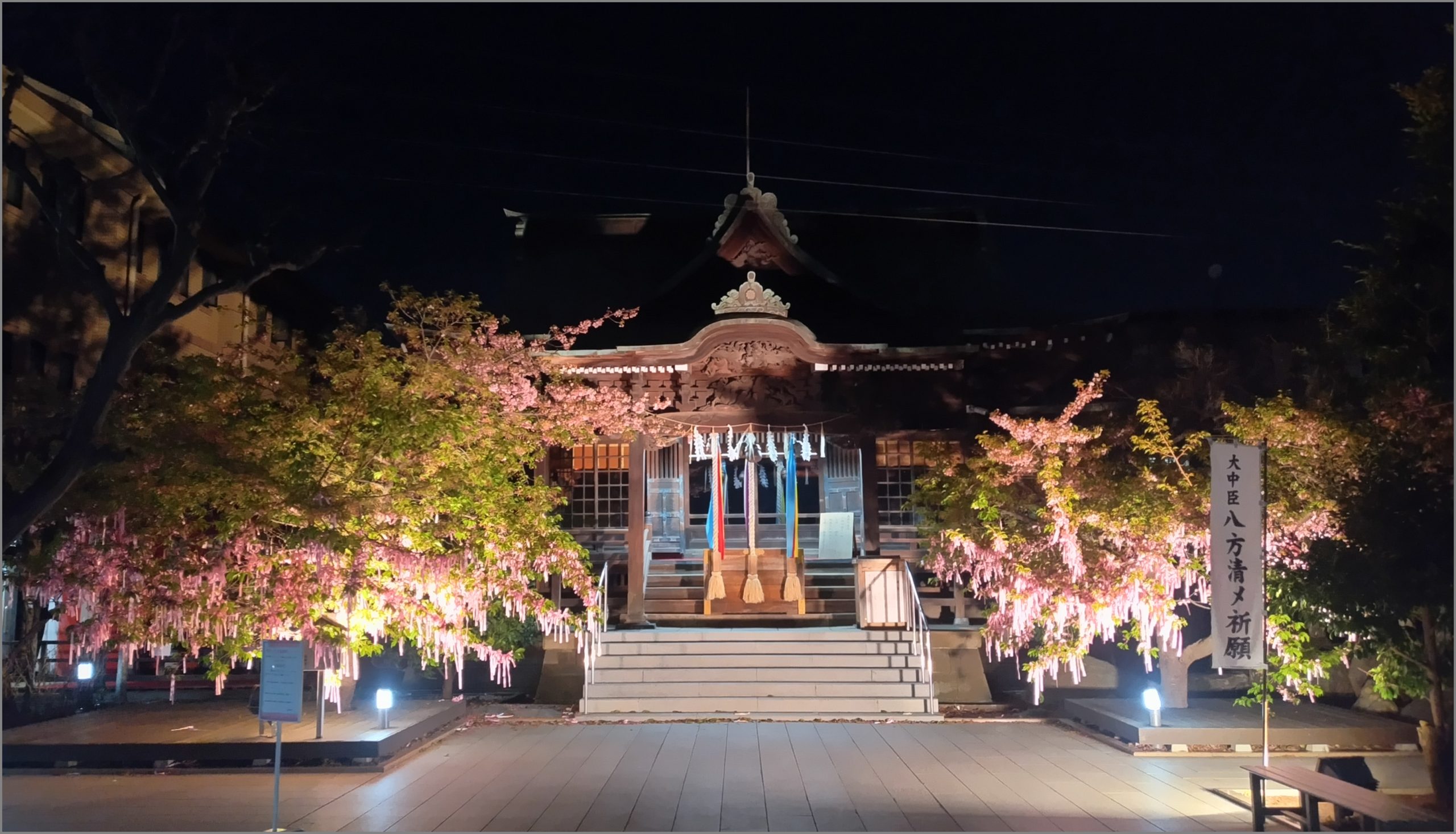 夜の【古式神道 桜神宮】神社本堂ライトアップ
