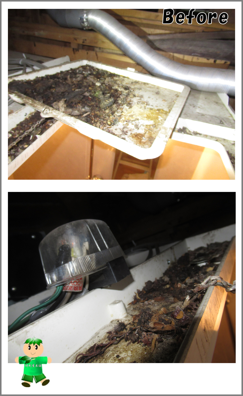 作業前：浴室天井裏のハクビシン排泄物被害・オゾン消臭・除菌・汚物回収クリーニング